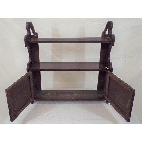 56 - Edwardian mahogany shelf unit with shaped sides and panelled doors