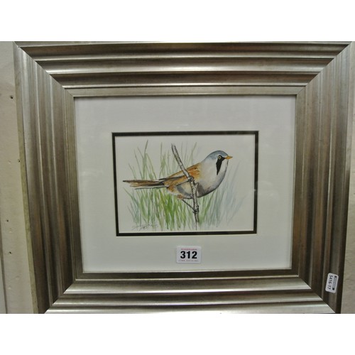 225 - Irish school 'Study of a Bearded Tit' watercolour and pencil 12x17cm signed