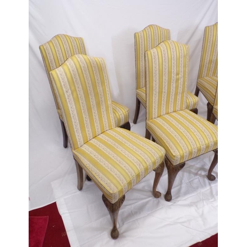 263 - Set of six Queen Anne design dining or drawing room chairs with Regency style upholstery and brass b... 