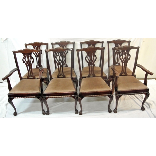 345 - Set of eight Chippendale style mahogany dining chairs with pierced wheatsheaf splats, shaped tops, u... 