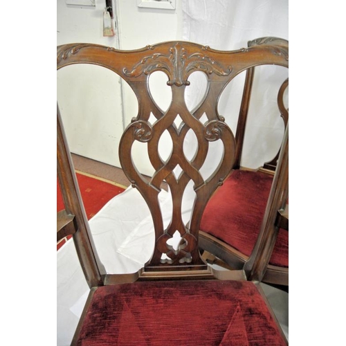 340 - Set of eight Georgian Chippendale style dining chairs with pierced splats, scroll and foliate decora... 