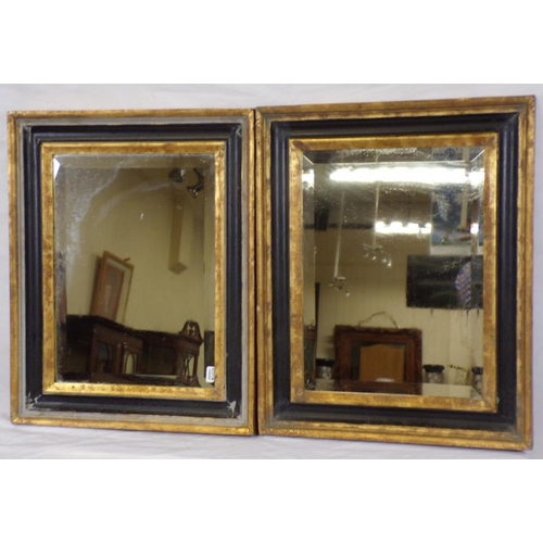 54 - Pair of framed gilt decorated wall mirrors