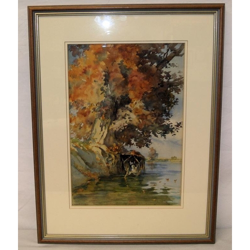 317 - L.K Williamson 'Red Chinars sunset on the Kashmir Lake. 1911' 36x25cm signed