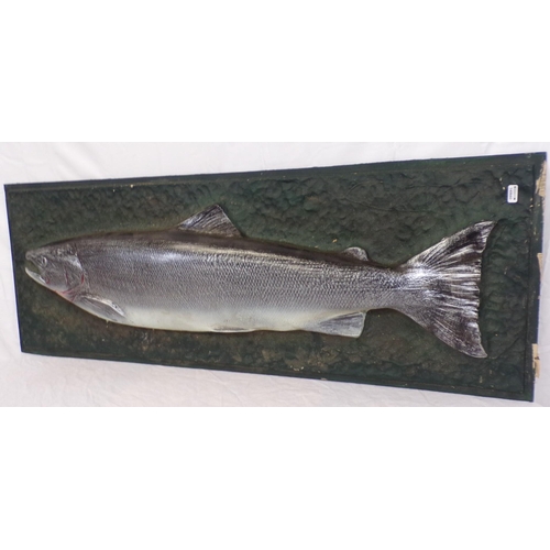 199 - Plaster model of a salmon, on back board