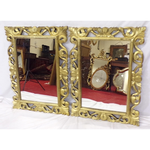 227 - Pair of ornate gilt framed mirrors with scroll decoration 82x60cm each