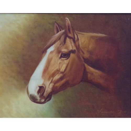 306 - English School 'Study of a horse' oil on canvas 40x50cm signed