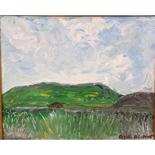 311 - Cahill O'Connor 'West Ireland Bogland' oil on canvas 45x55cm signed