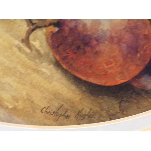 339 - Christopher Hughes 'Still life study of fruit' watercolour  oval 26x30cm signed