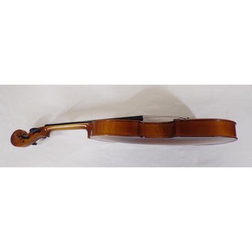 43 - Vintage violin with strings