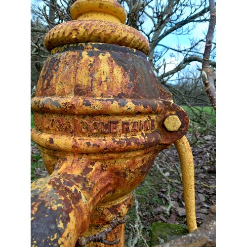 180 - Victorian style cast iron village water pump with shaped handle and finial, stamped Christies Ltd, C... 