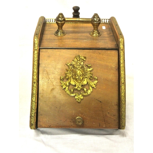 117 - Edwardian mahogany fuel box with shaped brass handle, fold-up lid with figured mount