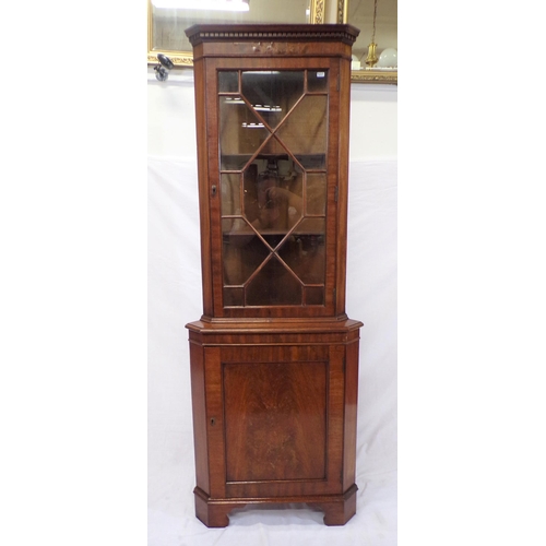 210 - Edwardian mahogany corner display cabinet with glazed door, shelved interior, shelved press under, o... 