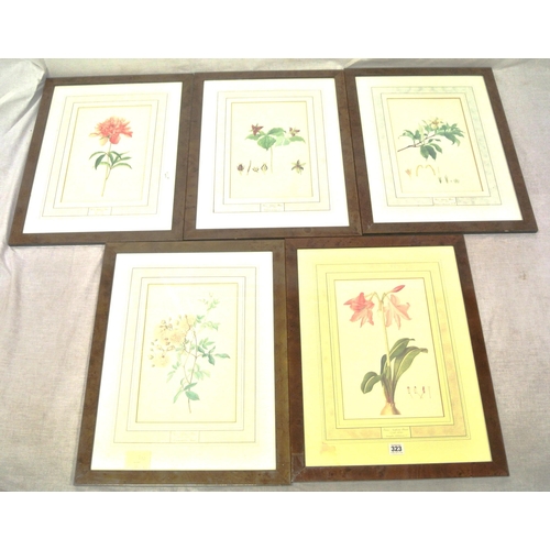 276 - Franz Andreas Bauer (1758-1840) Set of five Botanical prints 32x22cm each