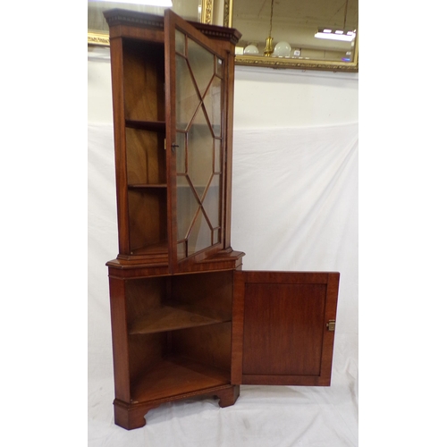 215 - Edwardian mahogany corner display cabinet with glazed door, shelved interior, shelved press under, o... 