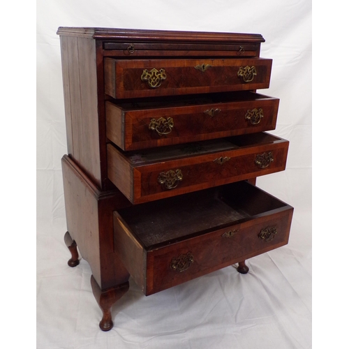 171 - Georgian crossbanded mahogany small chest on stand with pull-out shelf, four drawers with brass drop... 