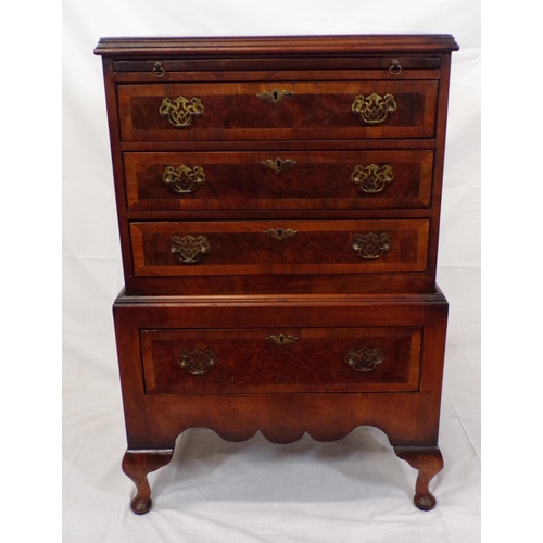 171 - Georgian crossbanded mahogany small chest on stand with pull-out shelf, four drawers with brass drop... 