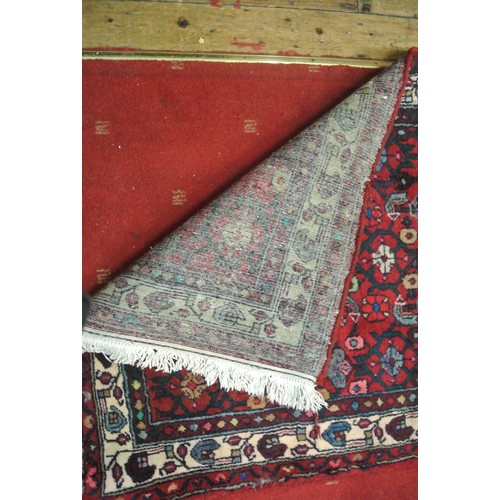 221 - Red and blue ground vintage Iranian runner