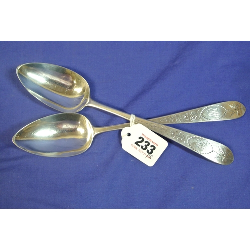 233 - Pair of Irish silver bright cut serving spoons by James Brady, Dublin, 24cm, 128g