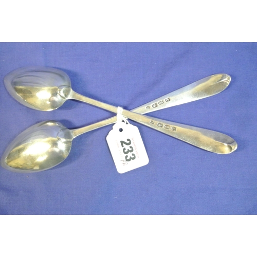 233 - Pair of Irish silver bright cut serving spoons by James Brady, Dublin, 24cm, 128g