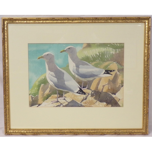 355 - Dr NW Cusa 'Herring Gulls Contre Jour' watercolour 29x43cm signed, inscribed verso