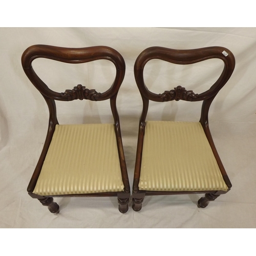 288 - Pair of Victorian spoonback walnut dining chairs with carved rails, upholstered seats, on baluster t... 