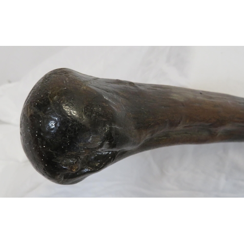 103 - Old bog oak shillelagh walking stick