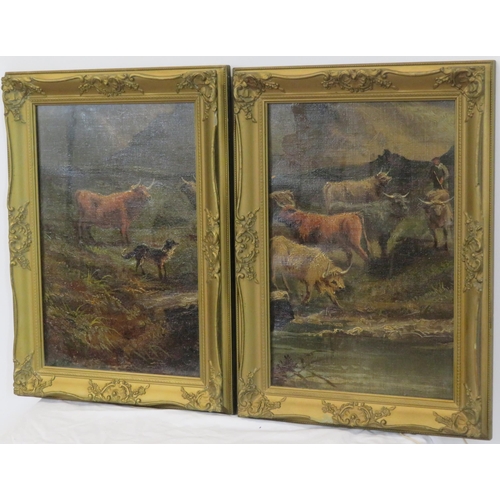 251 - Scottish school 'Highland cattle' pair of oils on board 37x25cm each