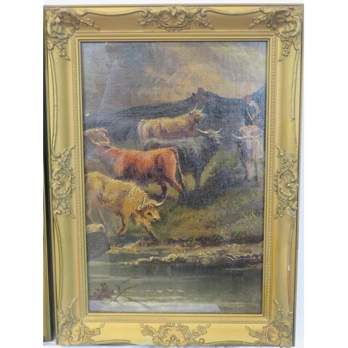 251 - Scottish school 'Highland cattle' pair of oils on board 37x25cm each