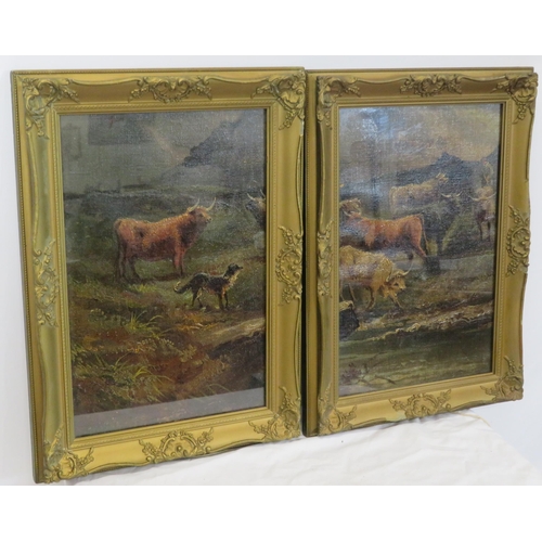 251 - Scottish school 'Highland cattle' pair of oils on board 37x25cm each