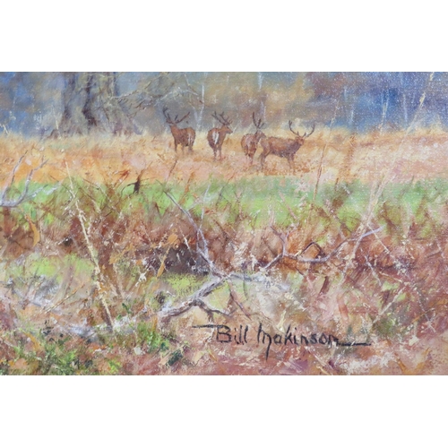 252 - Bill Makinson ' Study of deer in a landscape' oil on canvas 76x101cm signed