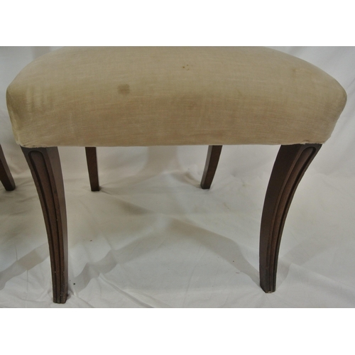 278 - Pair of Victorian mahogany occasional chairs with bowed rails, upholstered seats, on sabre legs