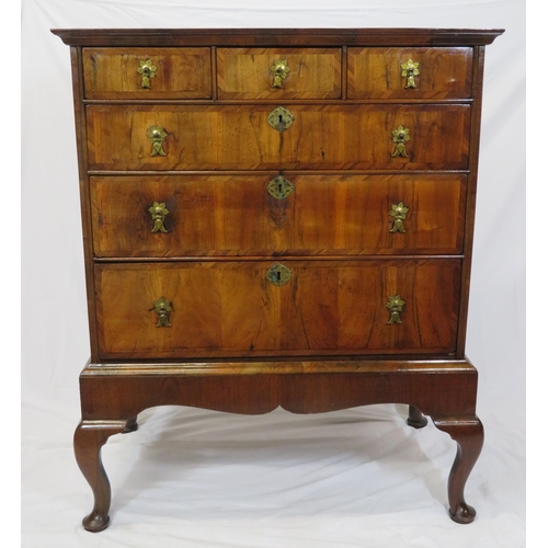 125 - Georgian crossbanded walnut chest on stand with three short & three long drawers, brass drop handles... 