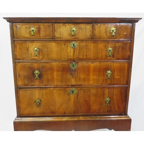 125 - Georgian crossbanded walnut chest on stand with three short & three long drawers, brass drop handles... 