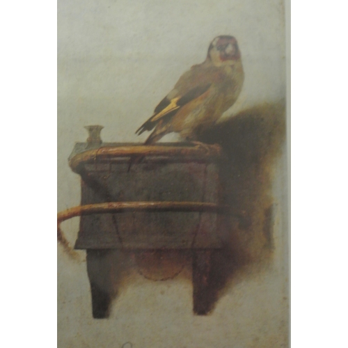 269 - Carel Fabritius 'The Goldfinch' print 12 x17 cm