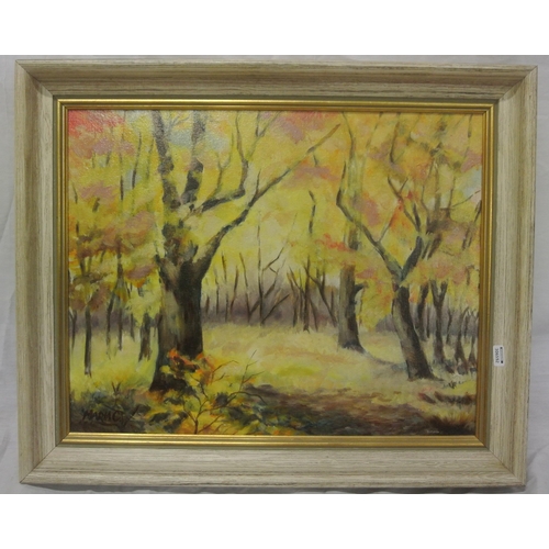 278 - Irish school 'Woodland scene' oil on canvas 39x49cm