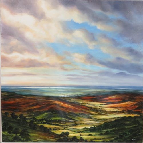 261 - Birdy 'Extensive Landscape' oil on board 80x80cm signed