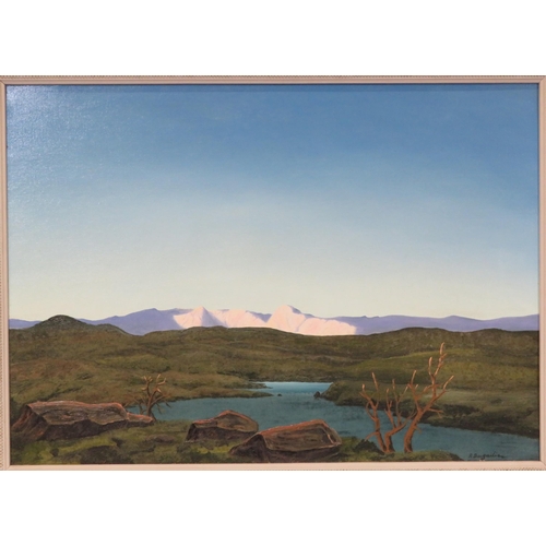 308 - P Bugailin 'River with snow capped hills' oil on board 42x60cm signed