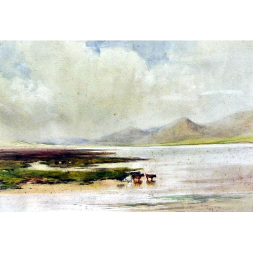 375 - Bingham McGuinness RHA 'Cattle by a river' watercolour 35 x 50 signed