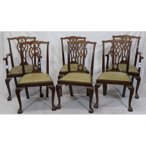 302 - Set of six Chippendale style dining chairs with pierced wheatsheaf splats, drop-in seats, on scroll ... 