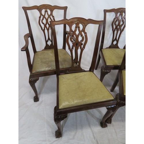 302 - Set of six Chippendale style dining chairs with pierced wheatsheaf splats, drop-in seats, on scroll ... 