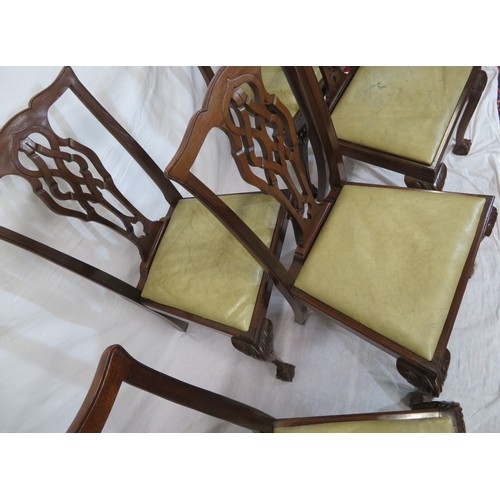 302 - Set of six Chippendale style dining chairs with pierced wheatsheaf splats, drop-in seats, on scroll ... 