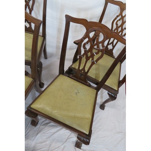 302 - Set of six Chippendale style dining chairs with pierced wheatsheaf splats, drop-in seats, on scroll ... 