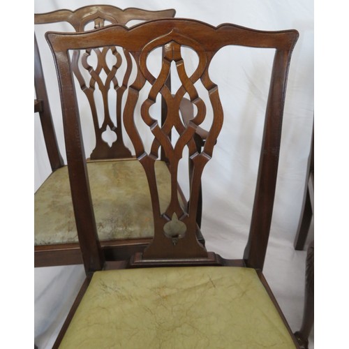 302 - Set of six Chippendale style dining chairs with pierced wheatsheaf splats, drop-in seats, on scroll ... 