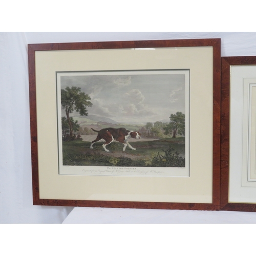 11 - 'Spanish pointer' & 'Partridge shooting' pair of prints 38x52cm & 36x48cm