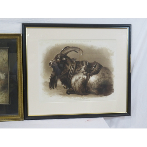 13 - Assorted prints, 'Goat', 'Interior', 'Boars', various sizes