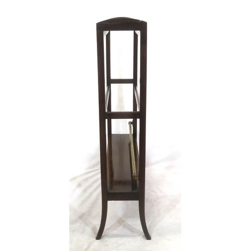 134 - Edwardian inlaid mahogany clothes rack with shaped legs