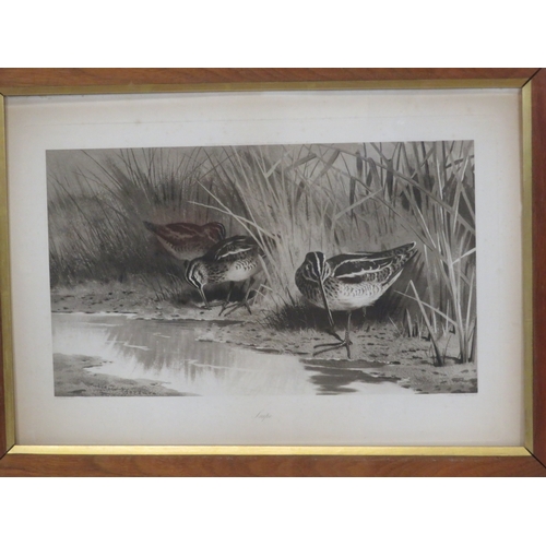 2 - Archibald Thorburn 'Snipe & Sable Antelope' pair of prints 22x46cm each