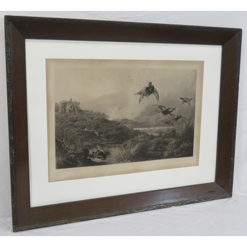 22 - Archibald Thorburn 'Grouse shoot' print 36x58cm studio stamp