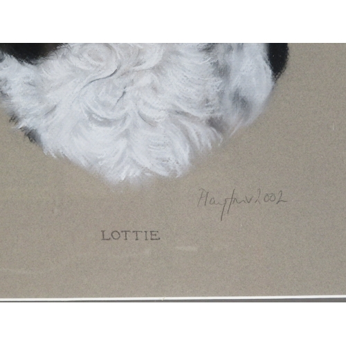 27 - Annabel Playfair 'Lottie' pastels 42x40cm signed & dated