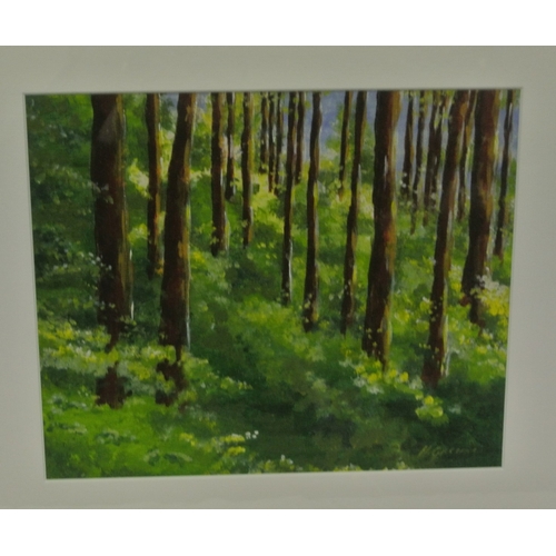 46 - H Greene 'Woodland with dappled sunlight' oil on board 24x29cm signed